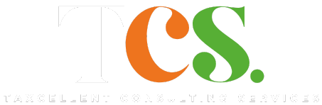 Taxcellent Consulting Services Footer logo